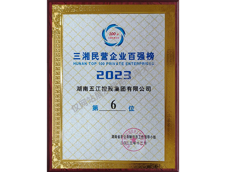 BXH 100 doanh nghiệp tư nhân tam thứ 6 (năm 2023)